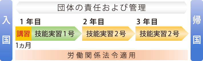 団体の責任および監理